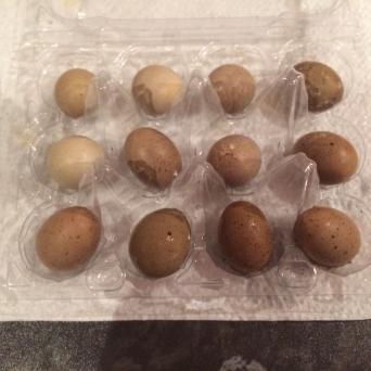 Chinese Painted Quail Eggs for sale in UK View 12 ads