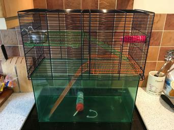 Gerbil Tank for sale in UK 41 second hand Gerbil Tanks