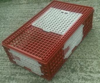 Poultry Crate for sale in UK 45 used Poultry Crates