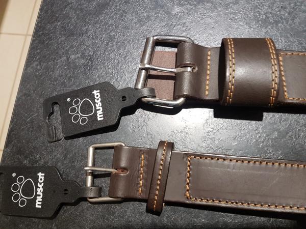 Image 2 of Leather Dog collars