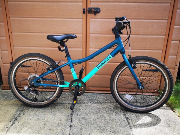 pinnacle ash 20 review