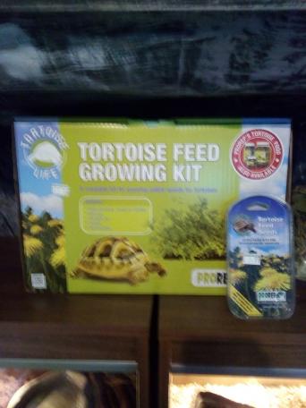 tortoise pets in darlington preloved tortoise feed growing kit and seeds