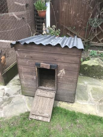 Duck Coop for sale in UK 59 secondhand Duck Coops