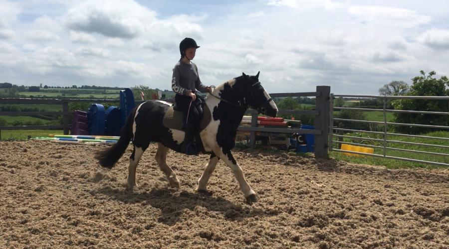 My new Loan Horse Daisy YouTube