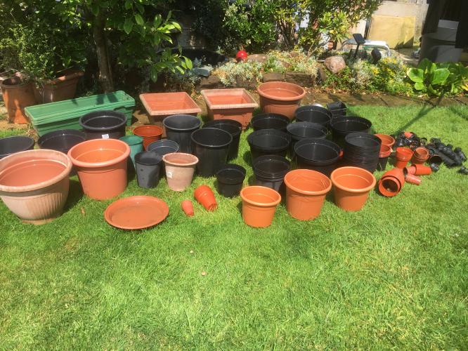 PLANT POTS For Sale in Wirral, Cheshire Preloved