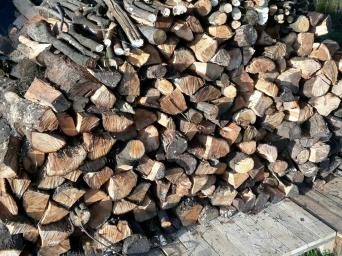 Free Firewood Local Classifieds Preloved