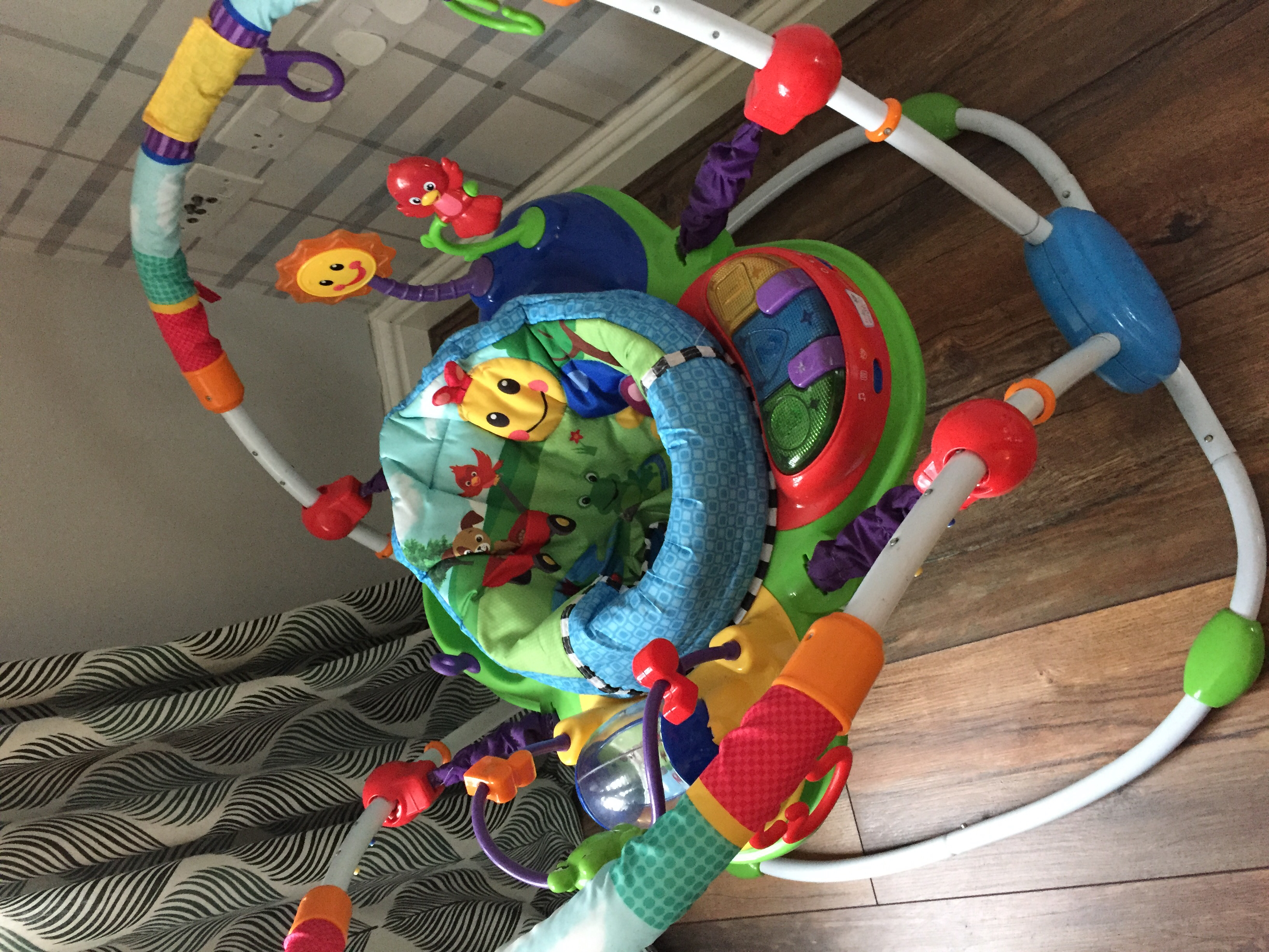 einstein jumperoo