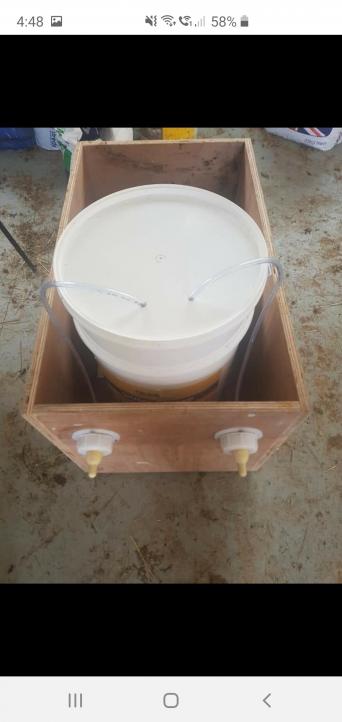 Lamb Feeder Local Classifieds For Sale Preloved