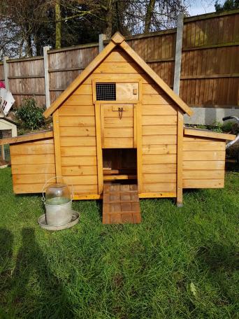 Chicken House Coop Local Classifieds Preloved