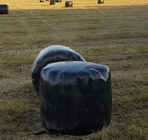 haylage 4ft