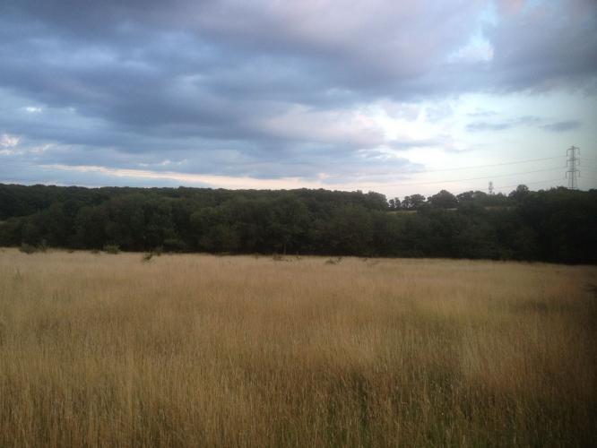 Grazing land to share cuffley Northaw just out side Enfield To Rent in