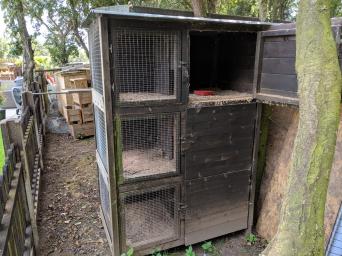 Poultry Poultry And Game Rehome Buy And Sell In Telford Preloved