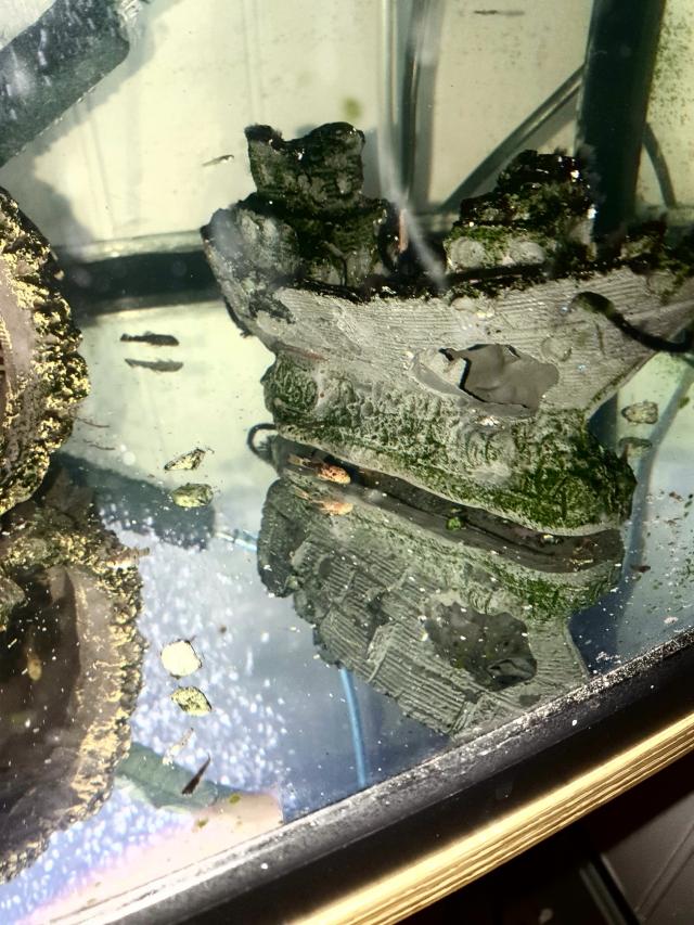 baby plecs For Sale in Middlesbrough, Cleveland | Preloved