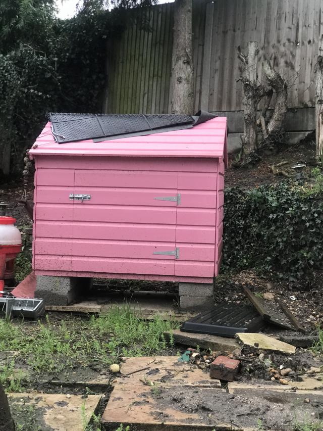 I have 2 extremely heavy solid wood Duck houses for sale For Sale in