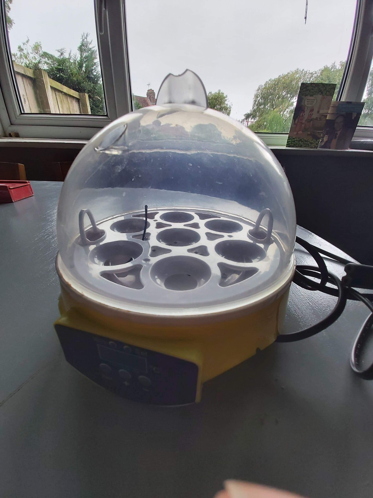 egg incubator for sale in okc