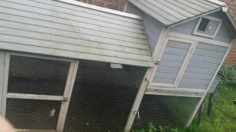 used chicken coop local classifieds for sale in london preloved