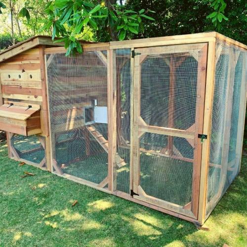 Large chicken coop/run wanted Wanted in Preston, Lancashire Preloved