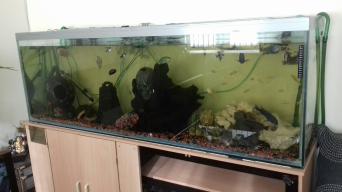 6Ft Fish Tanks for sale in UK 41 used 6Ft Fish Tanks