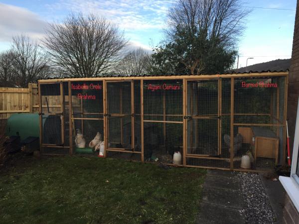 Coops/aviary panels/show boxes/brooders & poultry For Sale in ...