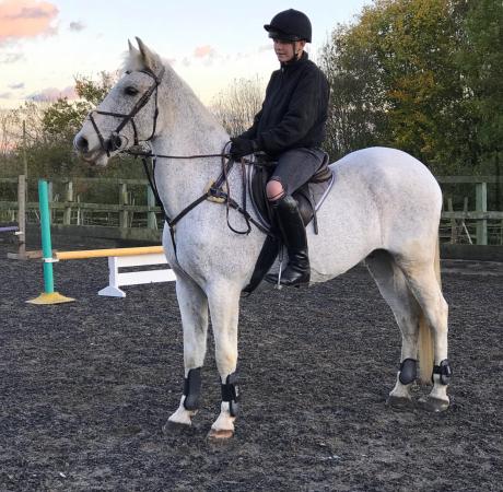 Image 8 of WONDERFUL 16HH ANDALUSIAN GELDING FOR PART LOAN