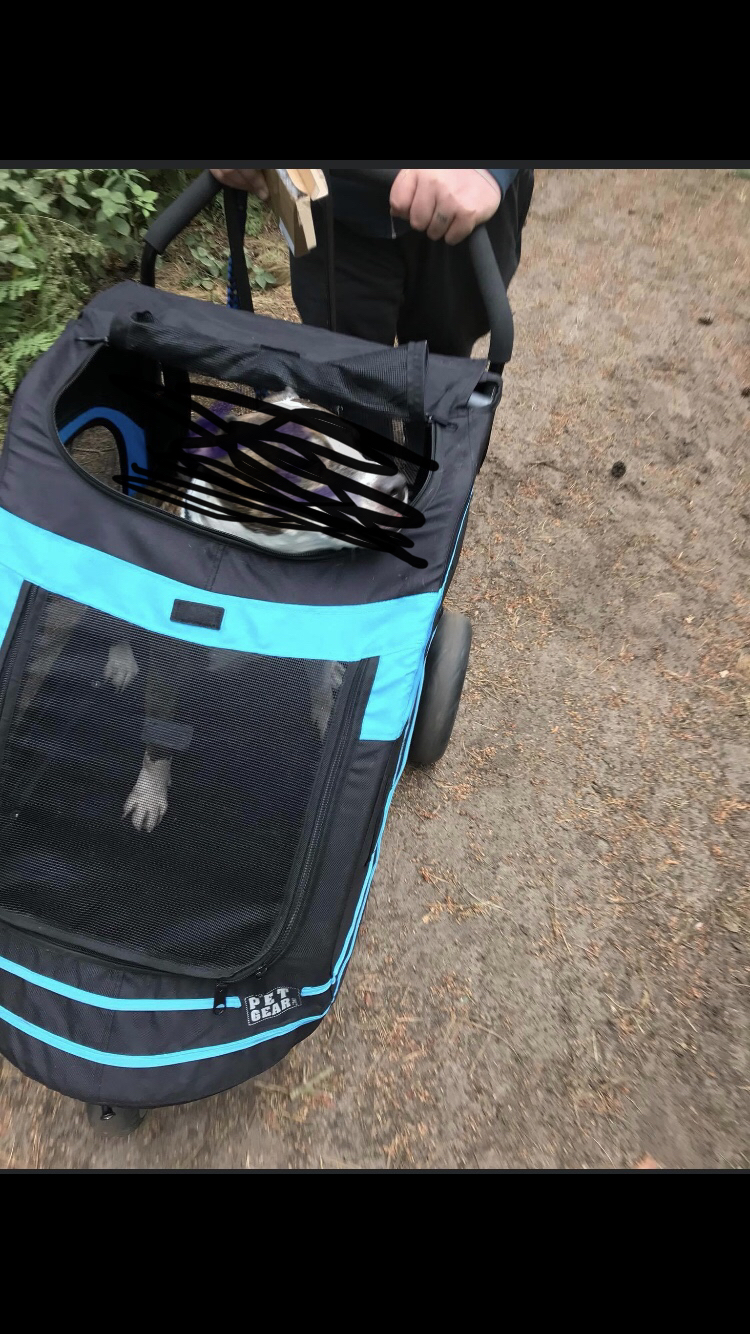 dog stroller second hand