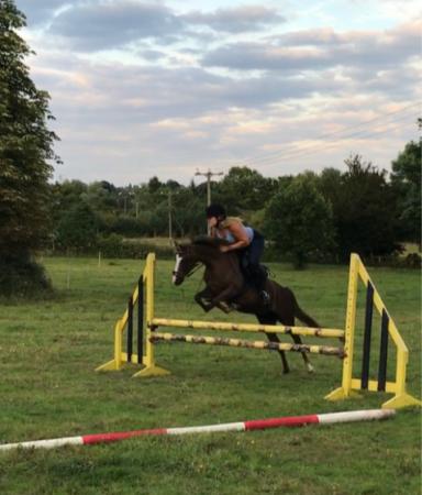 Competition Pony For Loan For Loan In Worcester - 