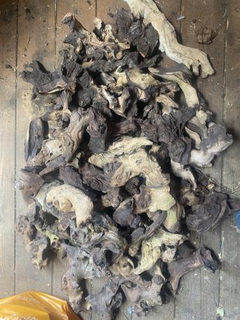 Bogwood for sale in UK 37 secondhand Bogwoods