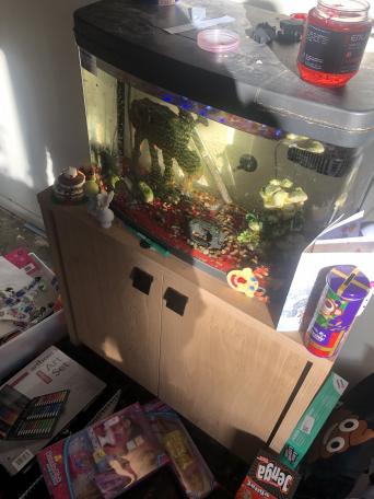 Fish Tank Second Hand Pet Accessories Buy And Sell In Worcester