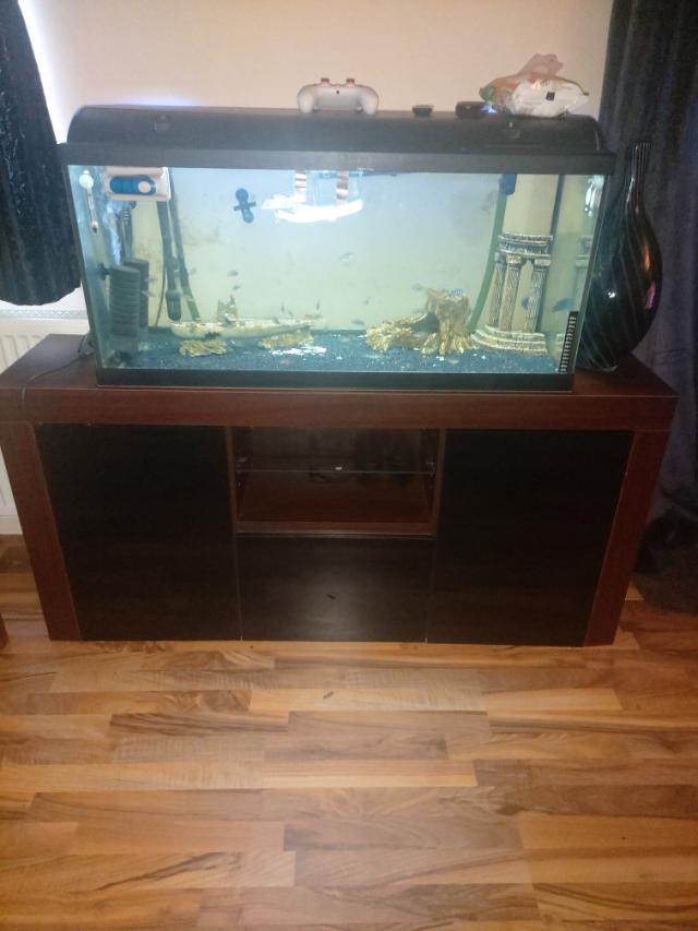 4ft tropical fish tank setup For Sale in Holt, Norfolk Preloved