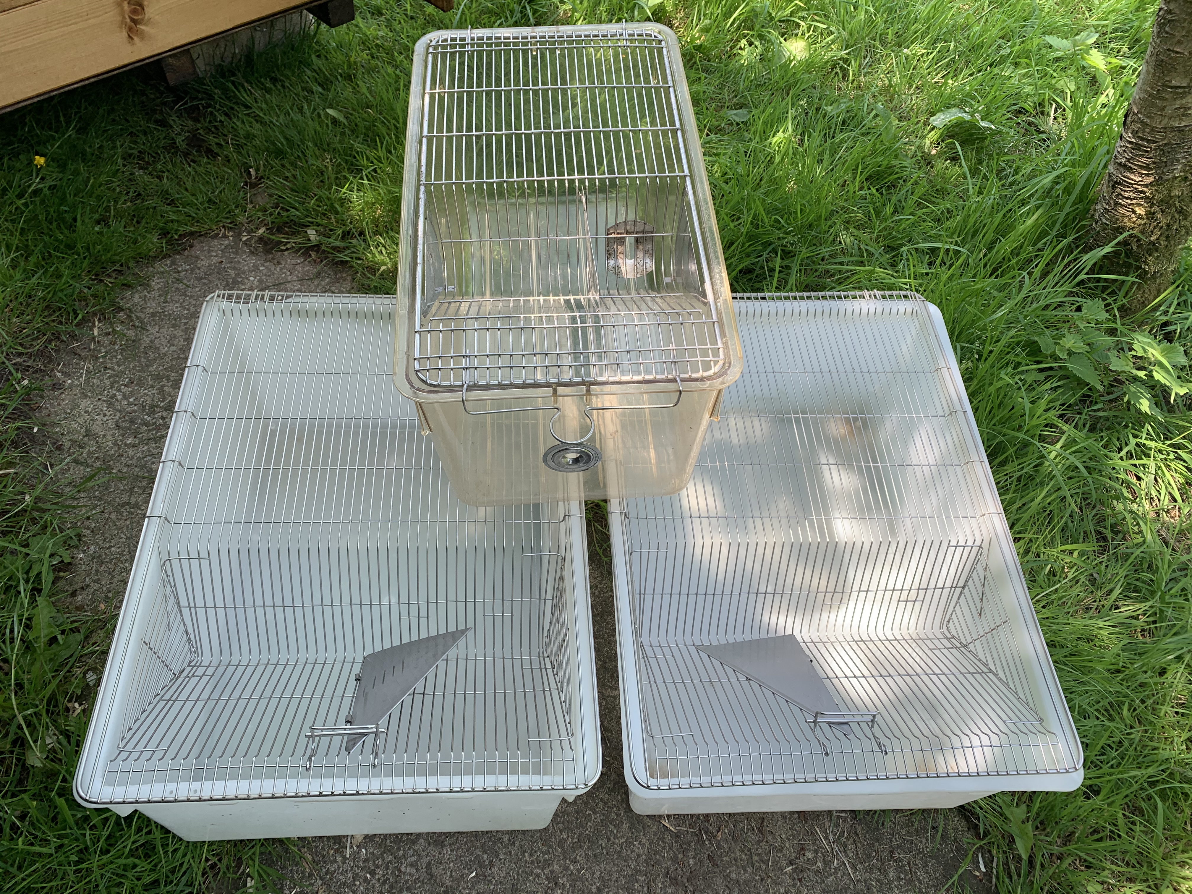 rodent breeding cages for sale