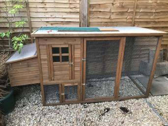 Chicken Pens Local Classifieds For Sale Preloved