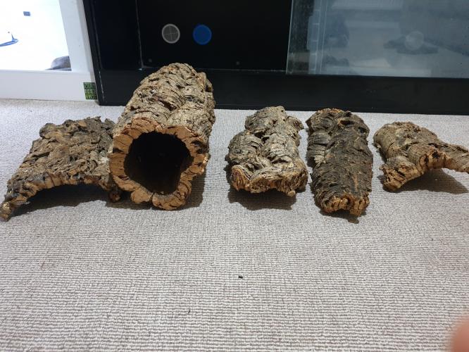 Large cork bark hides For Sale in Cambridge, Cambridgeshire Preloved