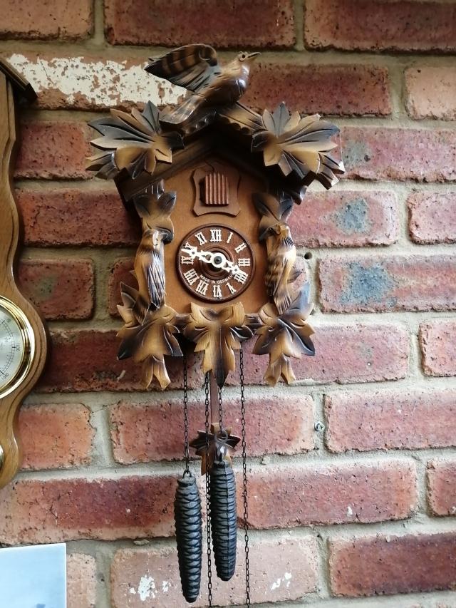 Cuckoo clock For Sale in North Lincolnshire Preloved