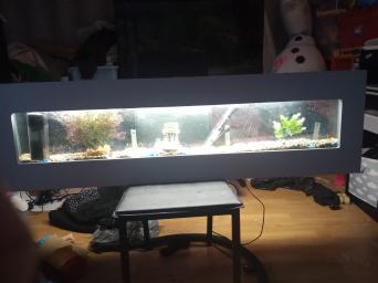 4Ft Fish Tanks for sale in UK 38 used 4Ft Fish Tanks