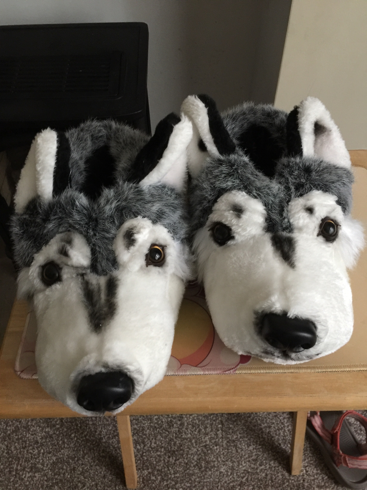 husky slippers
