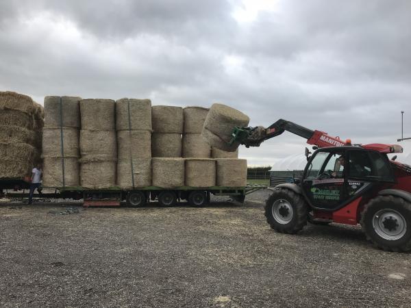 Large Round Bale Meadow Hay Excellent Quality Horse Hay For Sale In