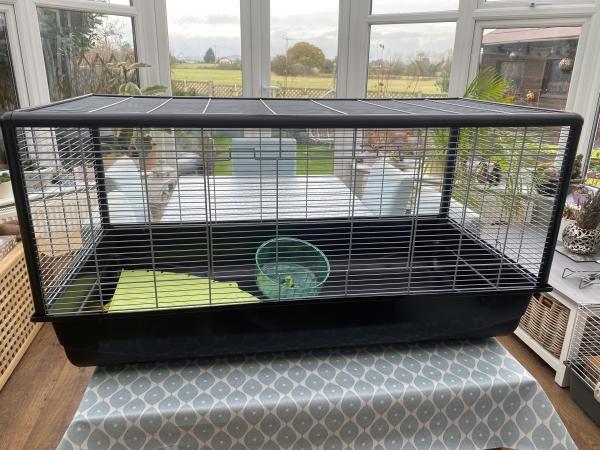 Savic Plaza Hamster Cage For Sale in Billericay, Essex | Preloved