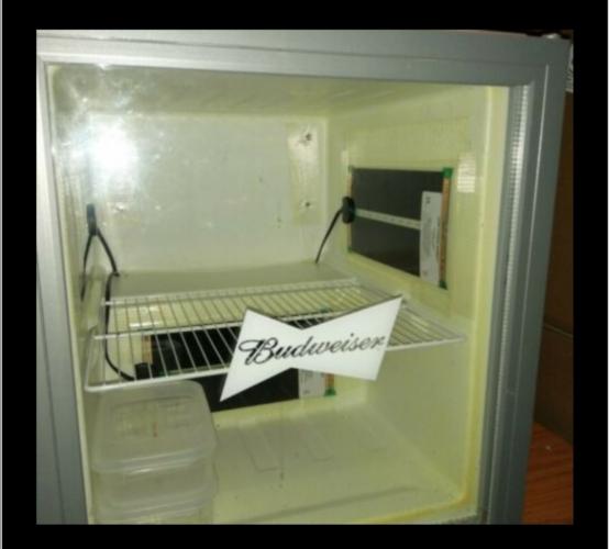 mini fridge reptile incubator For Sale in Kirkcaldy, Fife Preloved