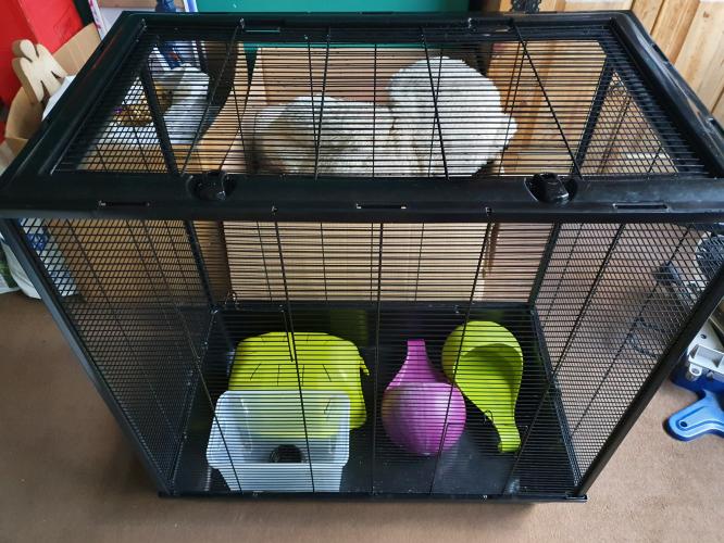 Three Tier Large Rat Cage For Sale in Ilkeston, Derbyshire Preloved