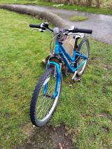 ridgeback Destiny mountain bike - £30
