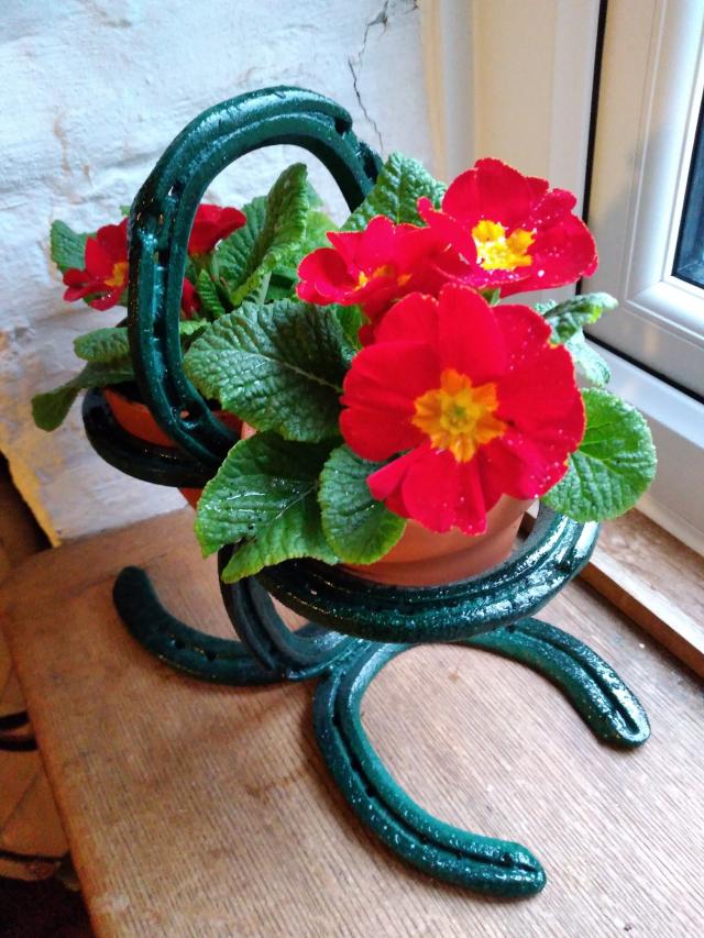Horseshoe Plant Pot Holder / Planters For Sale in Nr Hereford