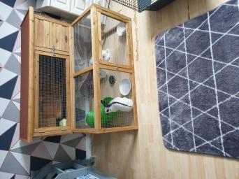 Rabbit Pen for sale in UK 58 secondhand Rabbit Pens