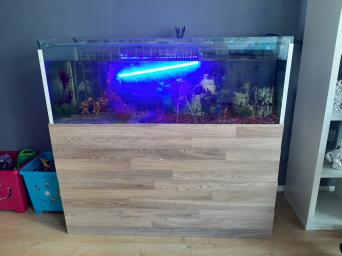 4Ft Fish Tanks for sale in UK 53 used 4Ft Fish Tanks