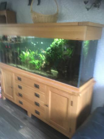 6ft-fish-tanks-for-sale-in-uk-41-used-6ft-fish-tanks