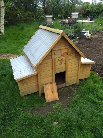 Chicken Coop