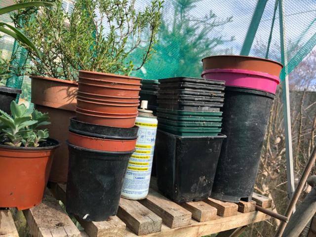 free plant pots near me