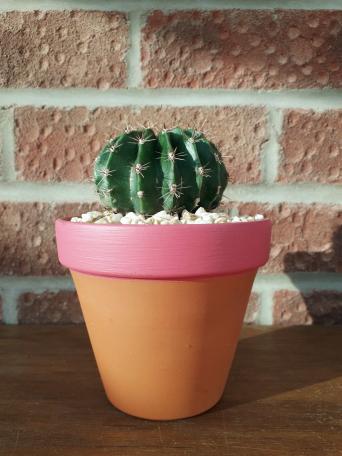 golf rangefinder wrist watch reviews