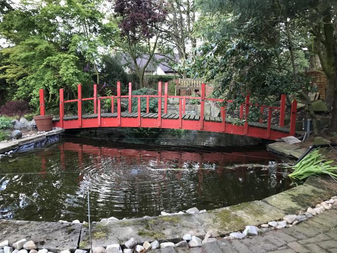 Pond Fish Rehoming Koi, Carp, Goldfish, Sturgeon Wanted