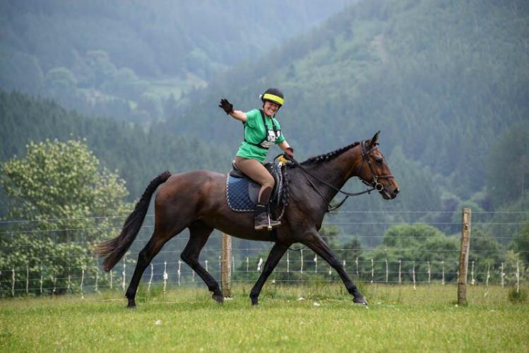 16.1hh Irish Hunter mare for sale. For Sale in Basingstoke, Hampshire Preloved