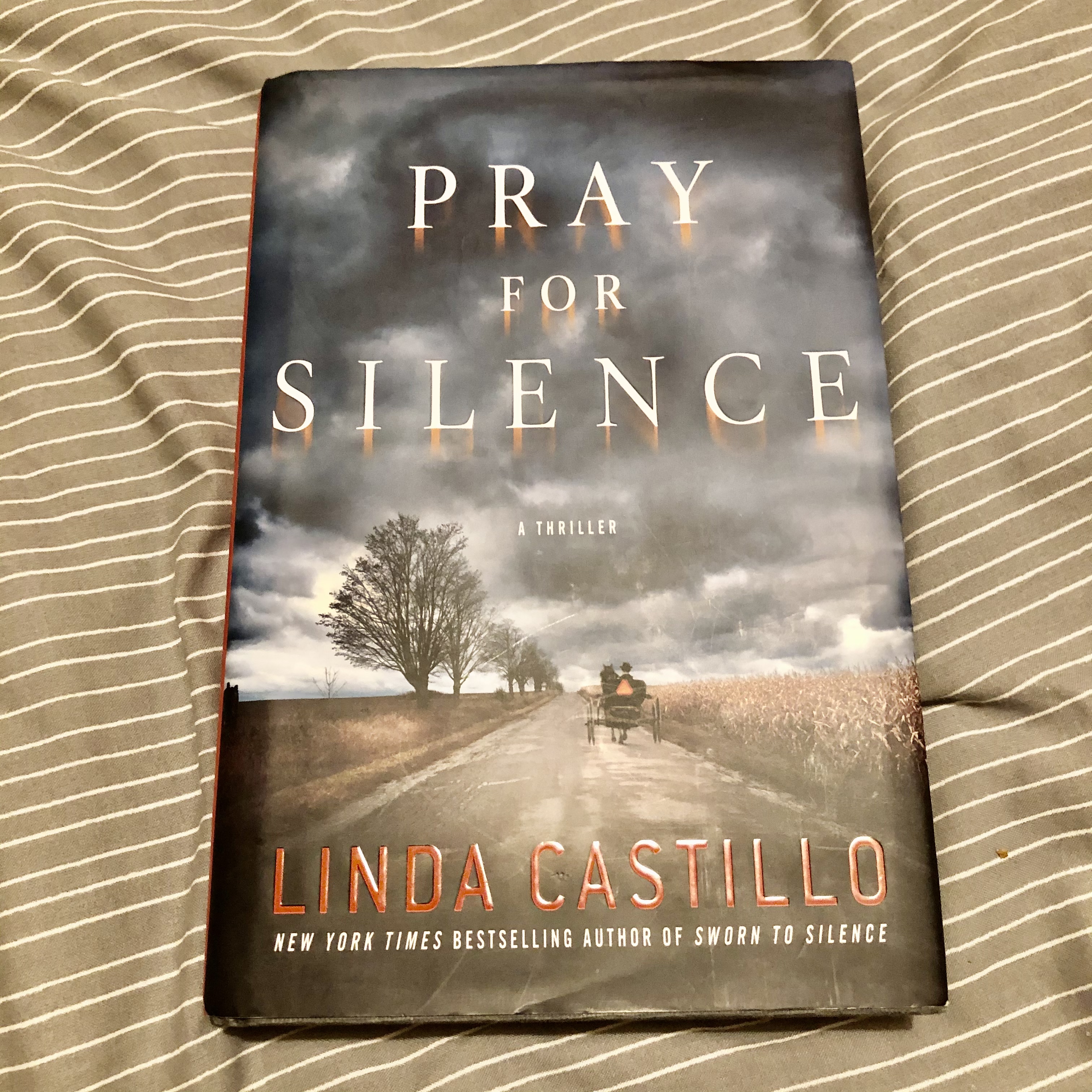 Pray for Silence by Linda Castillo